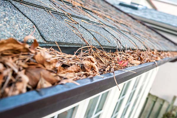 Gutter Cleaning Services